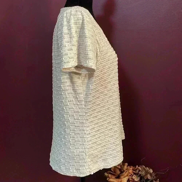 Laura Ashley Petite Medium Tan/Beige Short Sleeve Textured Blouse - Picture 5 of 8